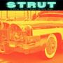 Strut (feat. M.E, Milyanz & Young Haynie) [Explicit]