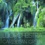 Caribbean Green - Single