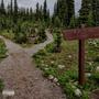 Path (Explicit)