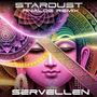 Stardust (Analog Remix)