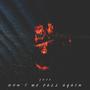 Don't We Fall Again (feat. The Kid Joy) [Explicit]