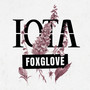 Foxglove