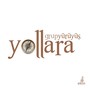 Yollara