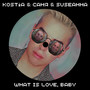 What Is Love Baby (Cover)