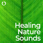 Healing Nature Sounds: Meditation and Mindfulness