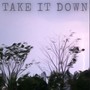 Take It Down