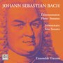 Bach: Flute Sonatas, Trio Sonata