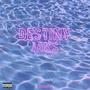 Destiny (feat. JAKS) [Explicit]