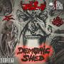 Demonic Shed (Explicit)