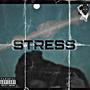 Stress (Explicit)