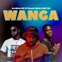 Wanga (feat. Mr 125 & Classic Malz)