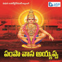 Pampa Vaasa Ayyappa