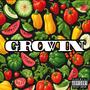 Growin (Explicit)