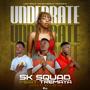 Underrate (feat. Tremaya)