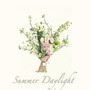 Summer Daylight