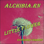 Little flower (Extended Version)