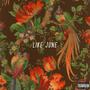 Like June (Explicit)