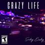 Crazy Life (Explicit)