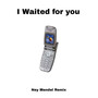 I Waited for You (Ney Mendel Remix)