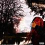 In this grave, lies a man who couldn't take life for its harsh realities (Explicit)