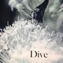 Dive