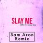 Slay Me (feat. Vanesa Sono) [Sam Aron Remix]
