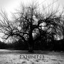 Exhibit: 13 (Explicit)