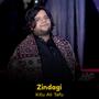 Zindagi (feat. Monica george)