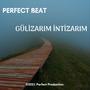 Gülizarım İntizarım Azeri Trap Beat (Remix)