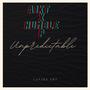 Unpredictable (feat. HUMBLE P) [Explicit]