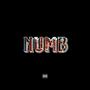 NUMB (Explicit)