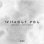 Without You (Domastic & Kovan Remix)