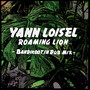 Roaming Lion (Bandikoot In Dub Mix)