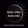 Kein Vibe, Kein Mic (Explicit)