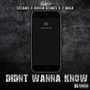 Didn't Wanna Know (Explicit)