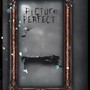 Picture Perfect (Explicit)