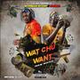 Wat Chu Want (feat. Swiezo) [Explicit]