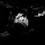 Free Sdot Go (Explicit)