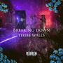 Breaking Down These Walls (dead ambiance) [Explicit]