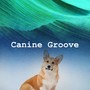 Canine Groove