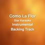 Como La Flor (Instrumental Backing Track)