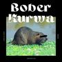 Bober Kurwa (Explicit)