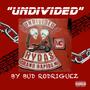 Undivided (Explicit)