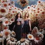 The Death Of Daisies (Deluxe) [Explicit]