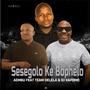 Sesegolo Ke Bophelo (feat. Team Delela & DJ KAP & BLAQ MAJOR) [Explicit]