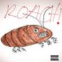 ROACH!