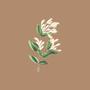 Wildflower