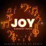 Joy [Junior White DJ Remix]