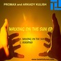 Walking On The Sun