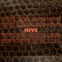 Hive